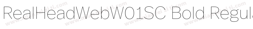 RealHeadWebW01SC Bold Regular字体转换